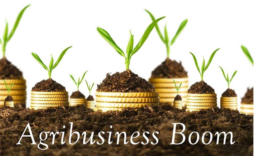 New Business Ideas Agribusiness
