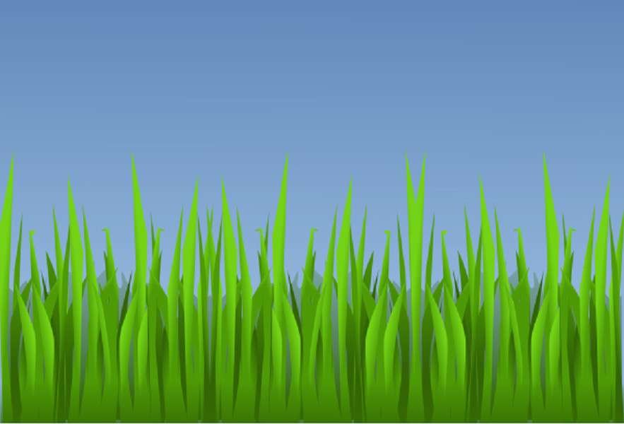 How To Draw Grass Step By Step Grass Drawing Very Easy