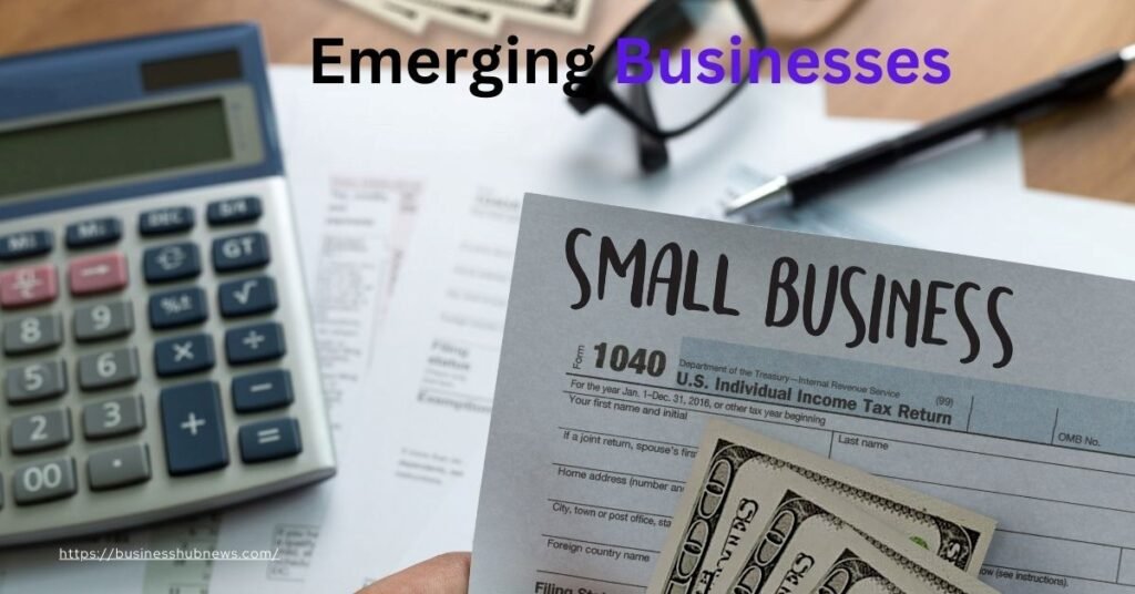 Emerging Businesses